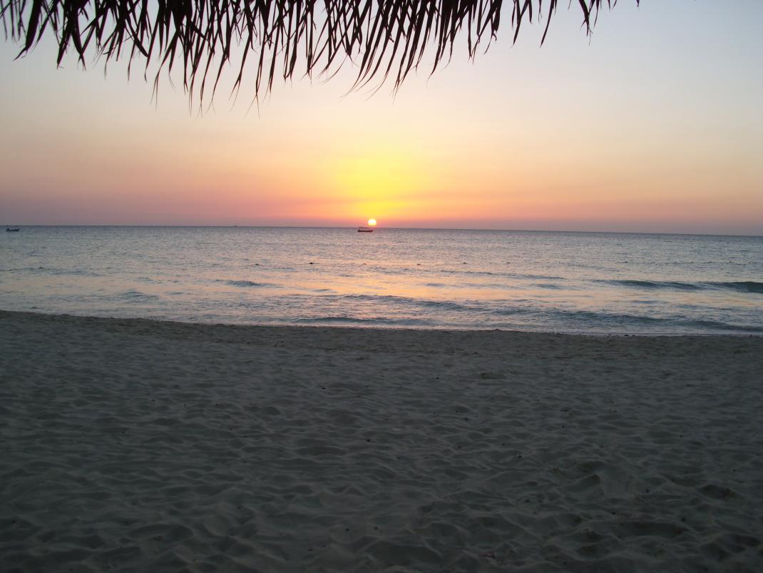 Name:  DSCI0641.jpg
Views: 303
Size:  90.1 KB