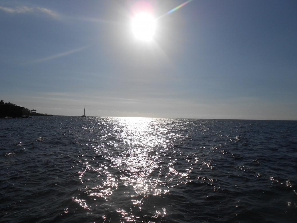 Name:  DSCN1355.jpg
Views: 766
Size:  92.9 KB