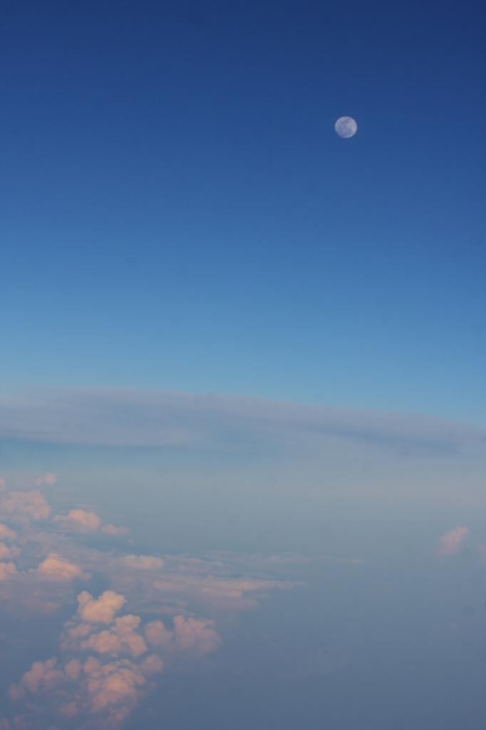 Name:  IMG_8923 (683x1024).jpg
Views: 946
Size:  22.0 KB