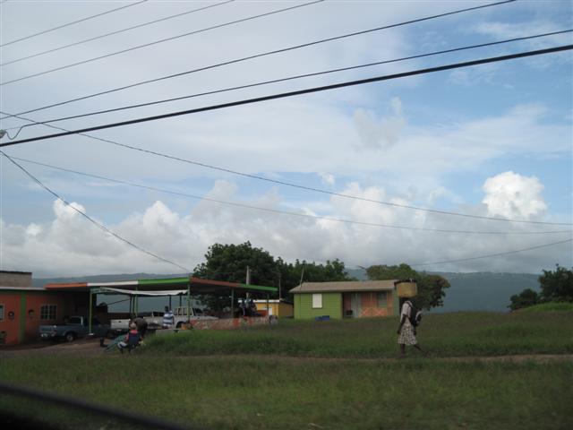 Click image for larger version. 

Name:	Jamaica June 2011 - 431 (Small).jpg 
Views:	475 
Size:	36.9 KB 
ID:	2472