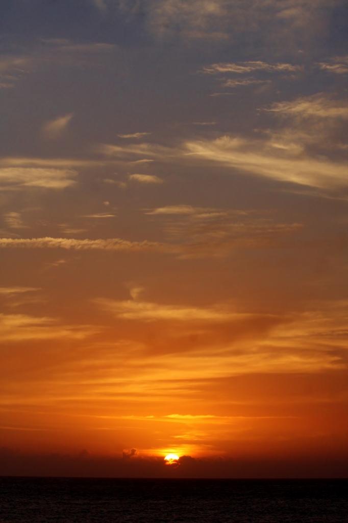 Name:  IMG_9118 (683x1024).jpg
Views: 850
Size:  37.3 KB