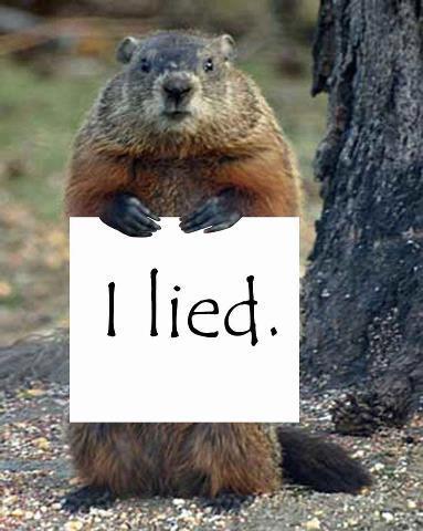 Name:  groundhog.jpg
Views: 185
Size:  31.9 KB