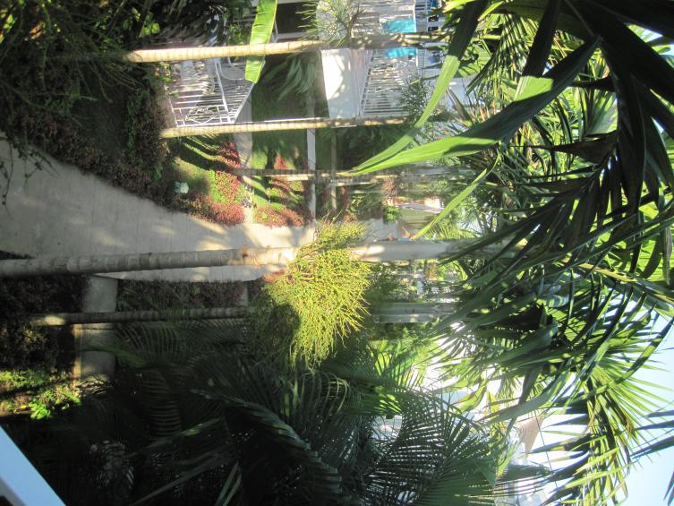 Name:  IMG_2268.jpg
Views: 469
Size:  100.3 KB