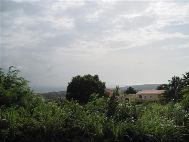 Click image for larger version. 

Name:	Jamaica June 2011 - 415 (Small).jpg 
Views:	911 
Size:	40.9 KB 
ID:	2492