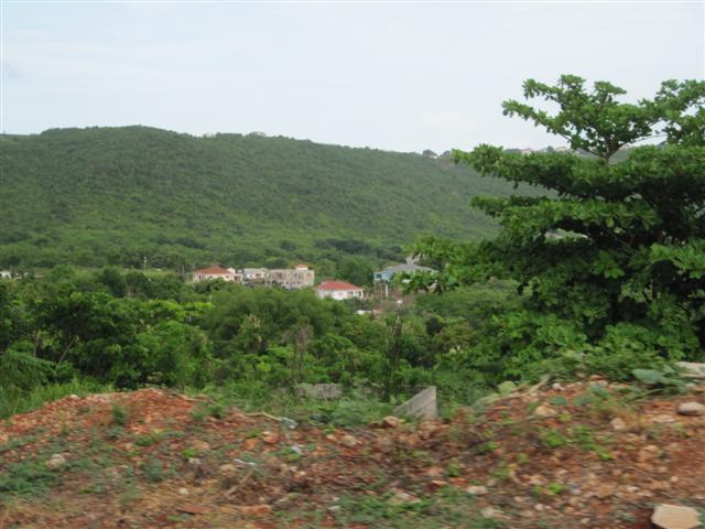 Click image for larger version. 

Name:	Jamaica June 2011 - 425 (Small).jpg 
Views:	870 
Size:	55.2 KB 
ID:	2495