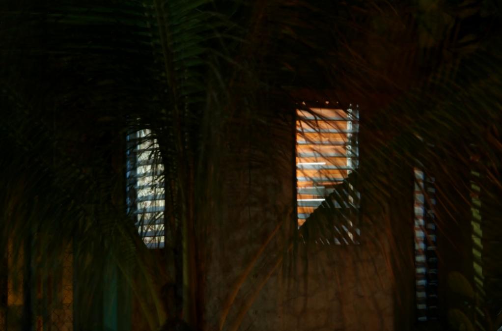 Name:  IMG_0830 (1024x675).jpg
Views: 280
Size:  47.3 KB
