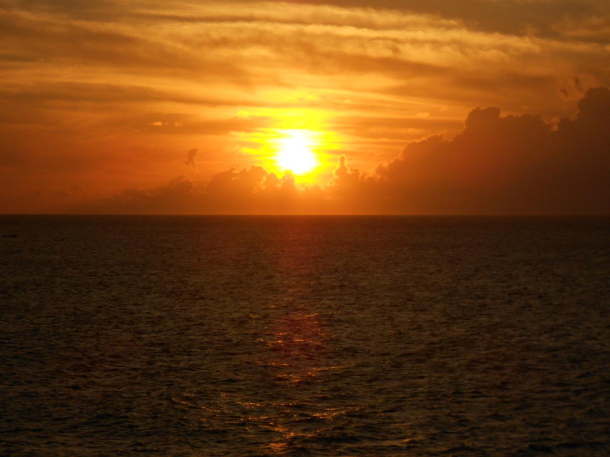 Name:  DSCN1383.jpg
Views: 551
Size:  83.4 KB
