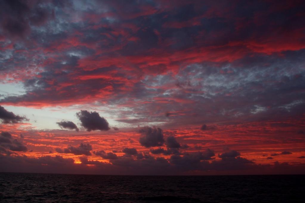 Name:  IMG_1584 (1024x683).jpg
Views: 419
Size:  55.1 KB