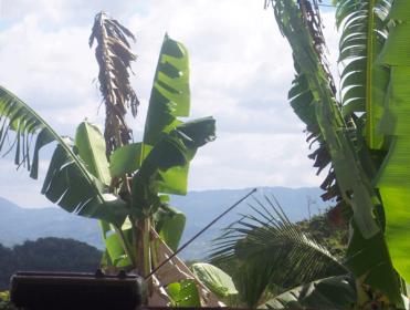 Name:  LRwindowshot.jpg
Views: 818
Size:  19.3 KB