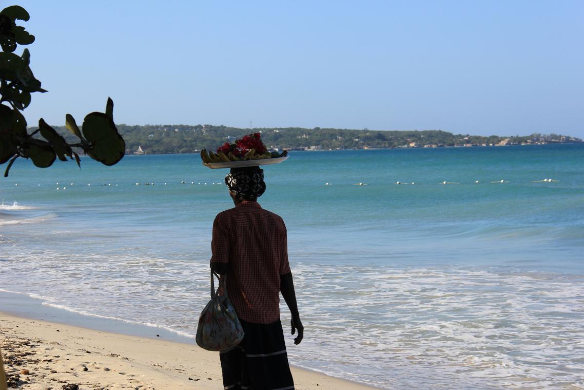Name:  Jamaica 2012 (501).jpg
Views: 153
Size:  92.2 KB