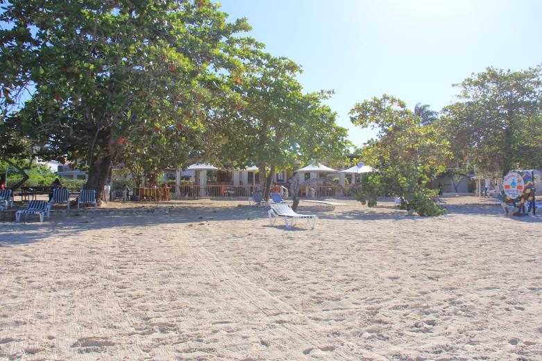 Name:  Jamaica 2012 (319).jpg
Views: 148
Size:  98.0 KB