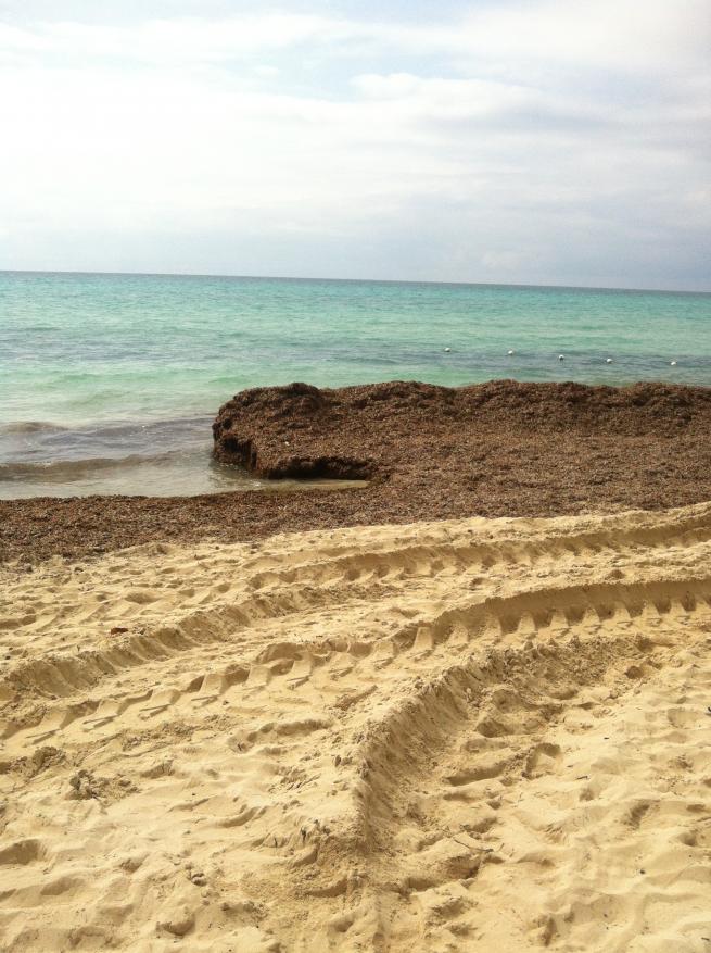 Name:  IMG_0636.jpg
Views: 445
Size:  96.4 KB