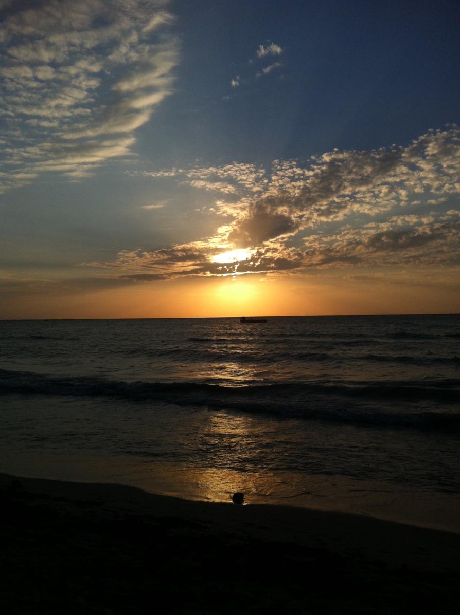 Name:  IMG_0667.jpg
Views: 349
Size:  91.3 KB
