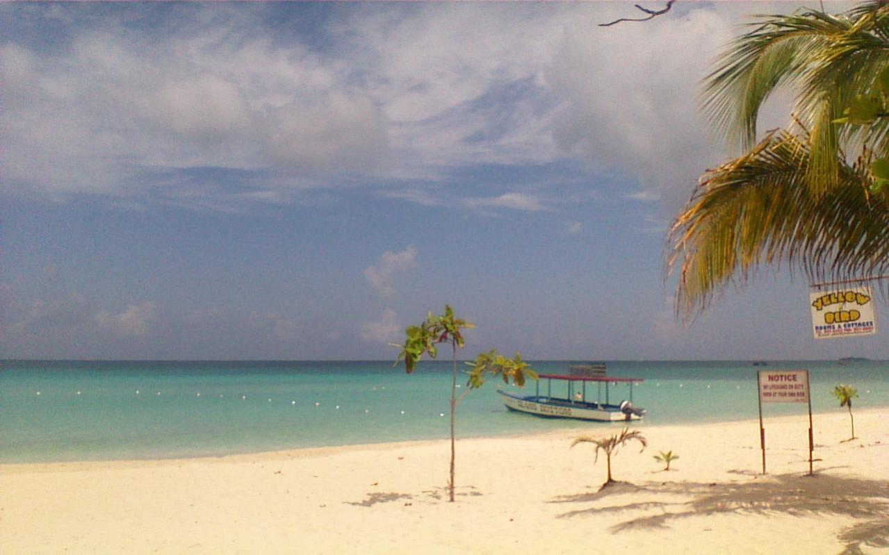 Name:  picture041.jpg
Views: 276
Size:  93.5 KB