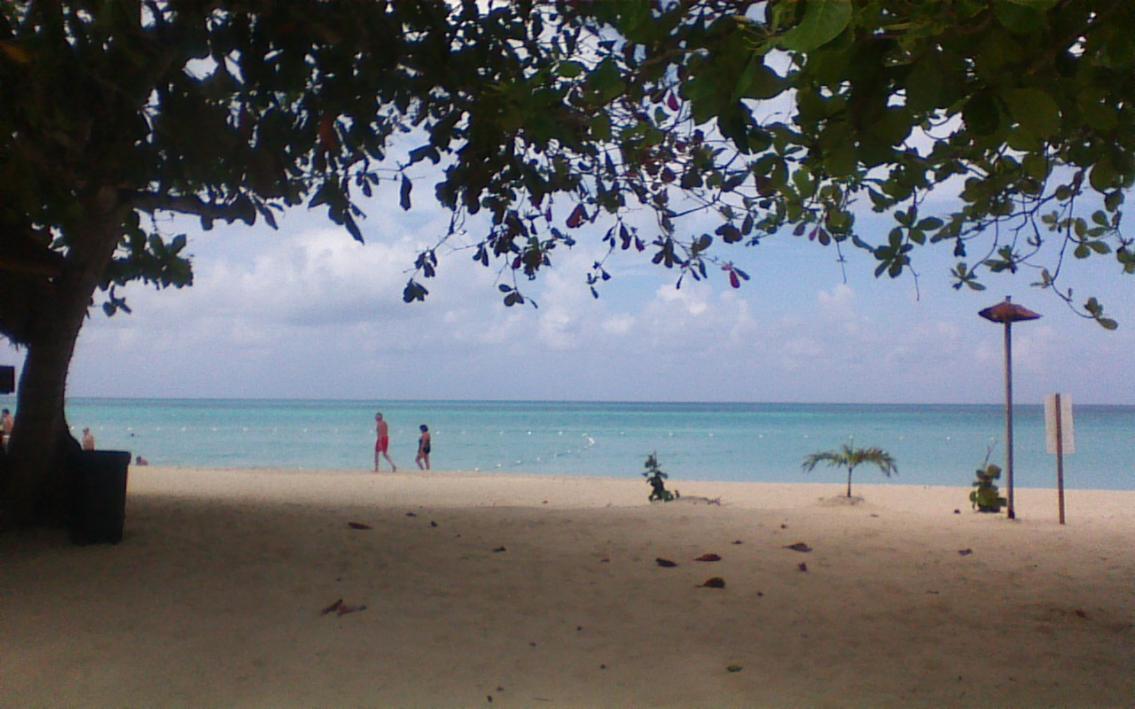 Name:  picture040.jpg
Views: 311
Size:  92.2 KB