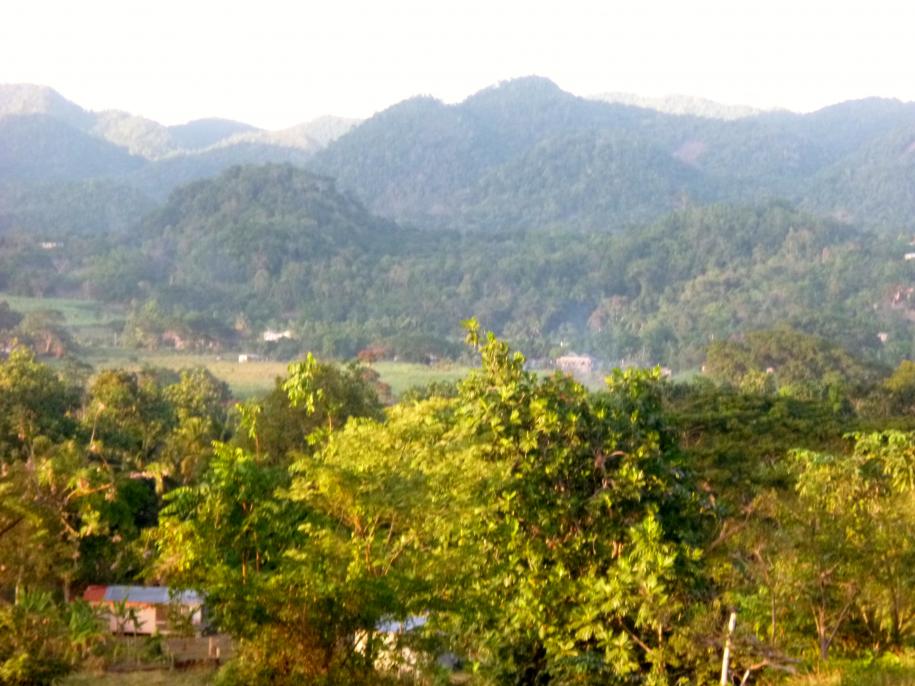Name:  047.jpg
Views: 649
Size:  93.0 KB