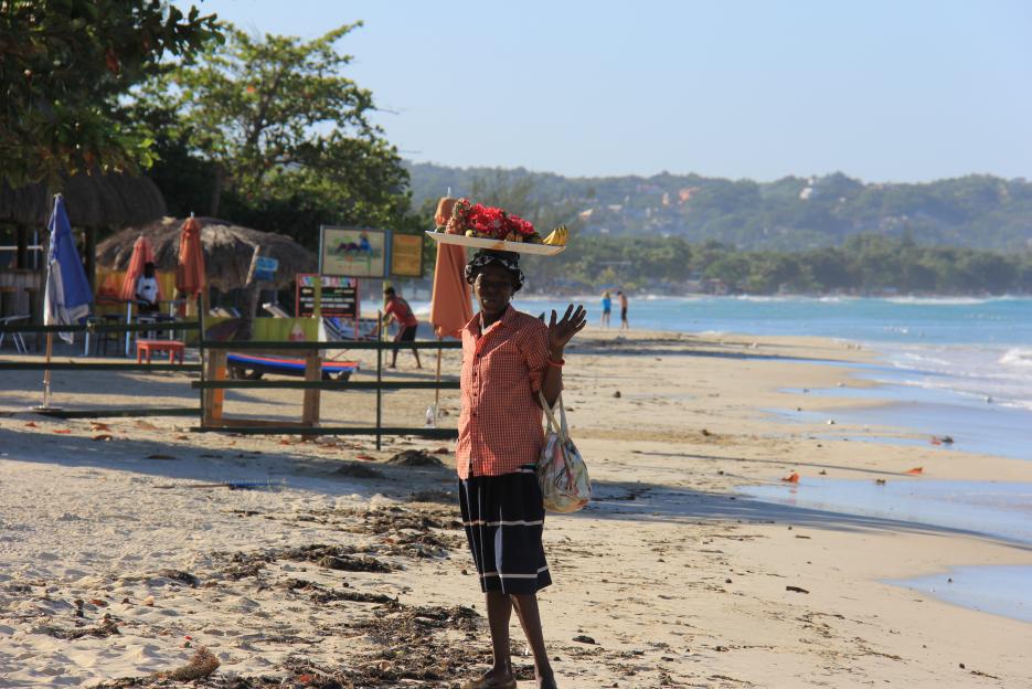 Name:  Jamaica 2012 (502).jpg
Views: 393
Size:  96.7 KB