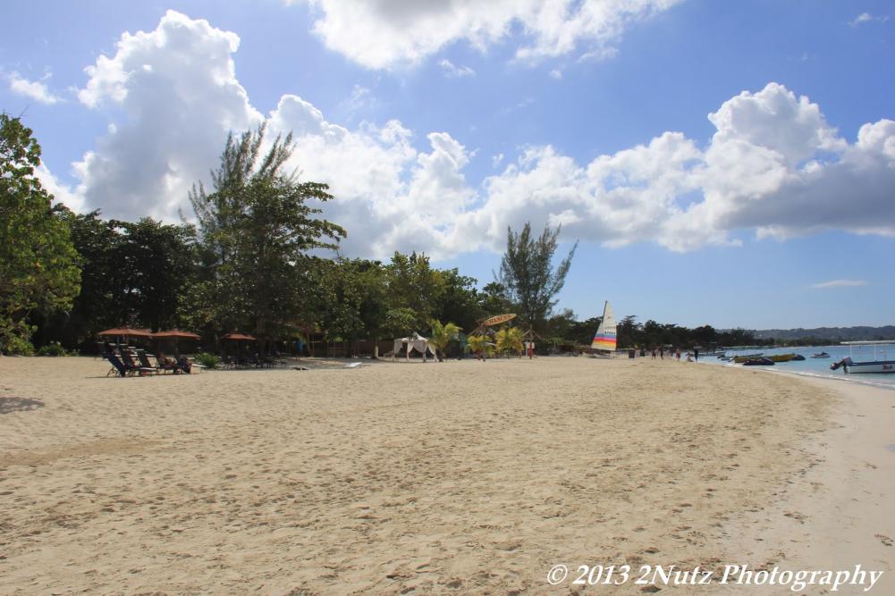 Name:  Jamaica 2012 (303) (Copy).jpg
Views: 327
Size:  95.9 KB