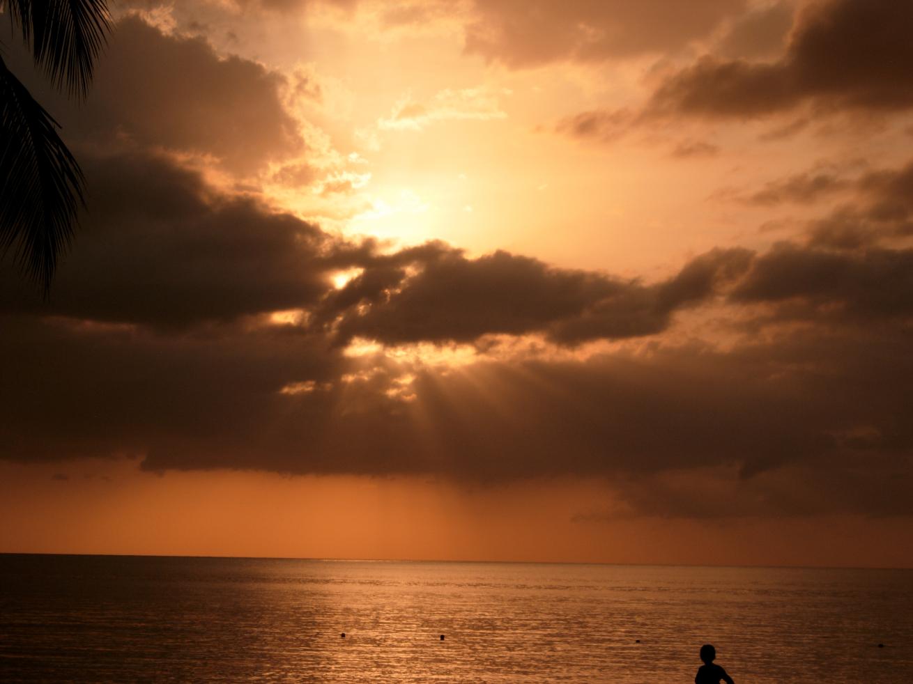 Name:  DSCN1056.jpg
Views: 800
Size:  83.1 KB