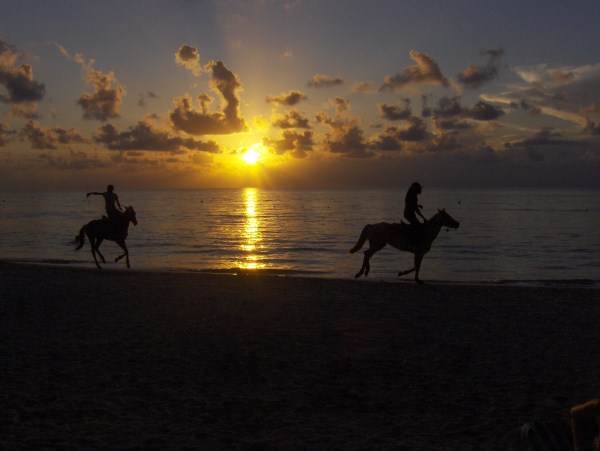 Name:  8x10 jamaica2009005.jpg
Views: 513
Size:  42.7 KB