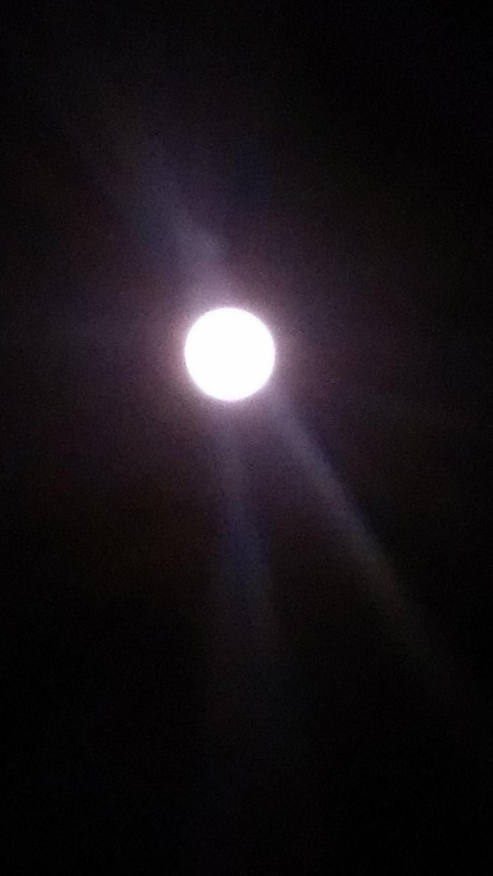 Name:  IMAG0939.jpg
Views: 458
Size:  90.1 KB