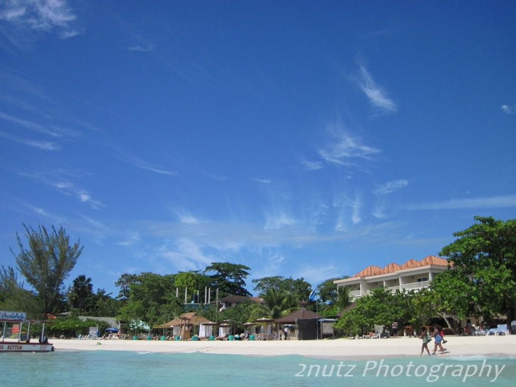 Name:  IMG_0061 (Copy).jpg
Views: 873
Size:  71.3 KB