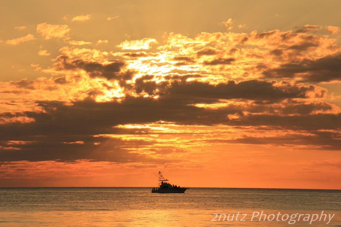 Name:  IMG_2097 (Copy).jpg
Views: 756
Size:  91.2 KB
