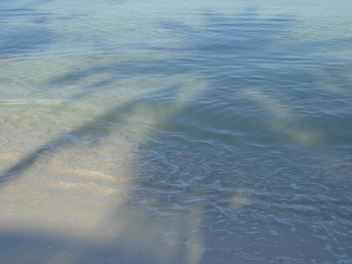 Name:  DSCN1035.jpg
Views: 316
Size:  86.4 KB