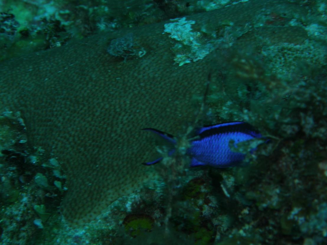 Name:  P3140150.jpg
Views: 402
Size:  84.1 KB