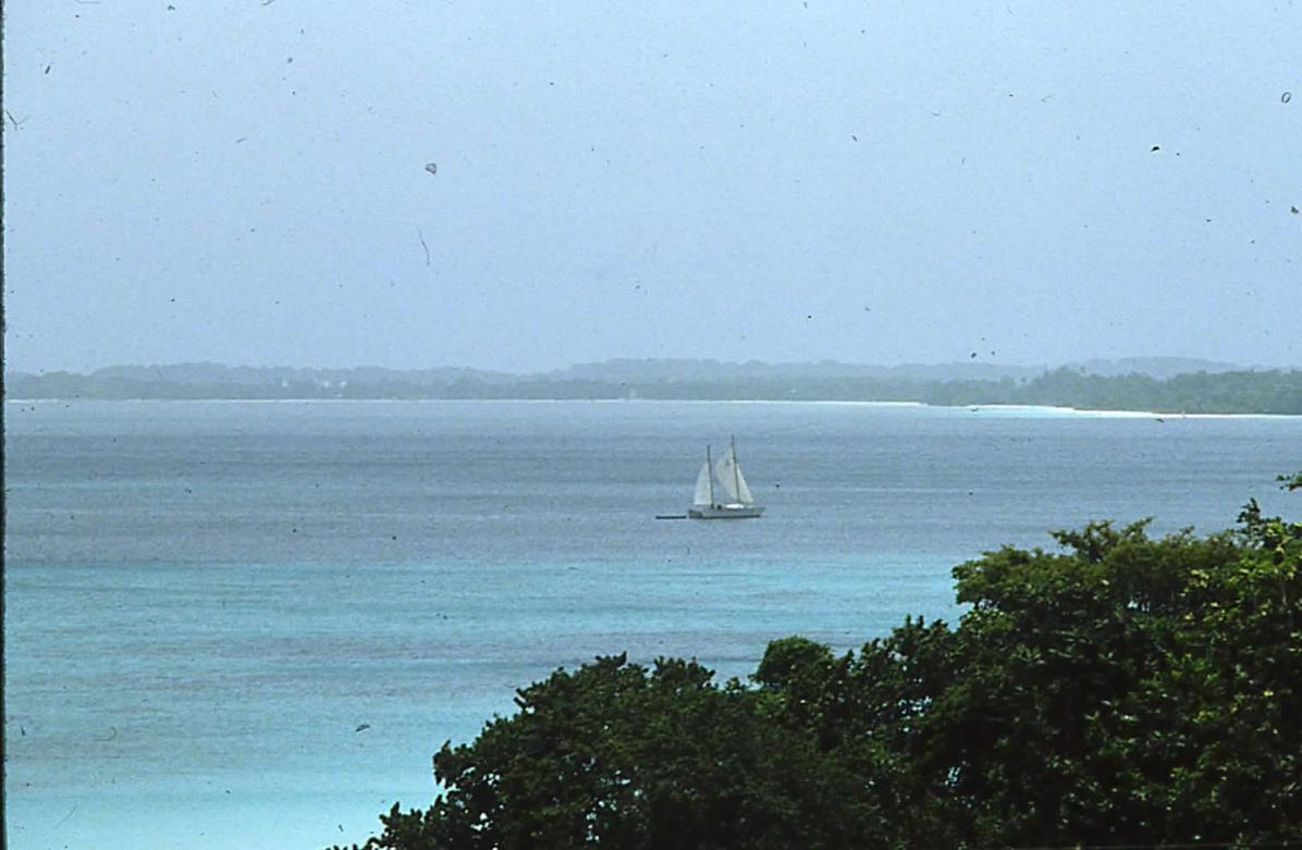 Name:  Negril Beach.jpg
Views: 3018
Size:  90.7 KB