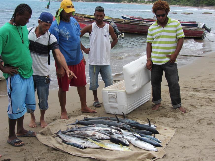Name:  Day's Catch.jpg
Views: 1125
Size:  95.3 KB