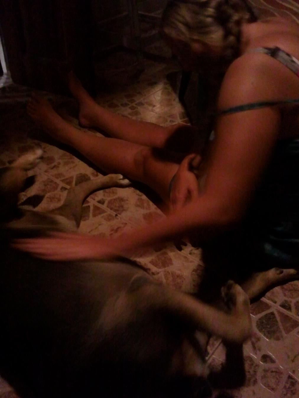 Name:  dog.jpg
Views: 384
Size:  82.6 KB