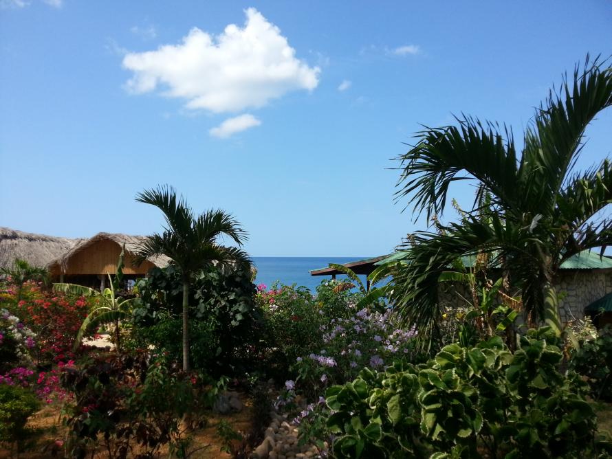 Name:  20130425_101339.jpg
Views: 399
Size:  95.2 KB