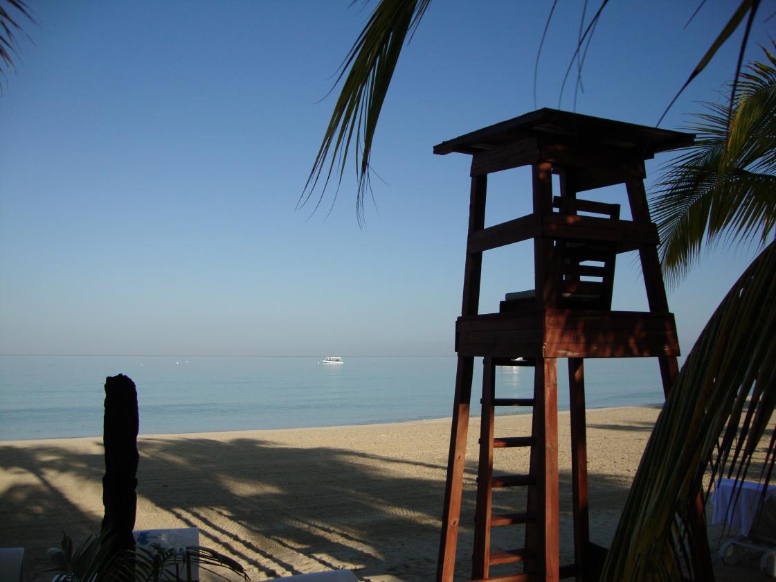 Name:  530.jpg
Views: 1329
Size:  86.7 KB