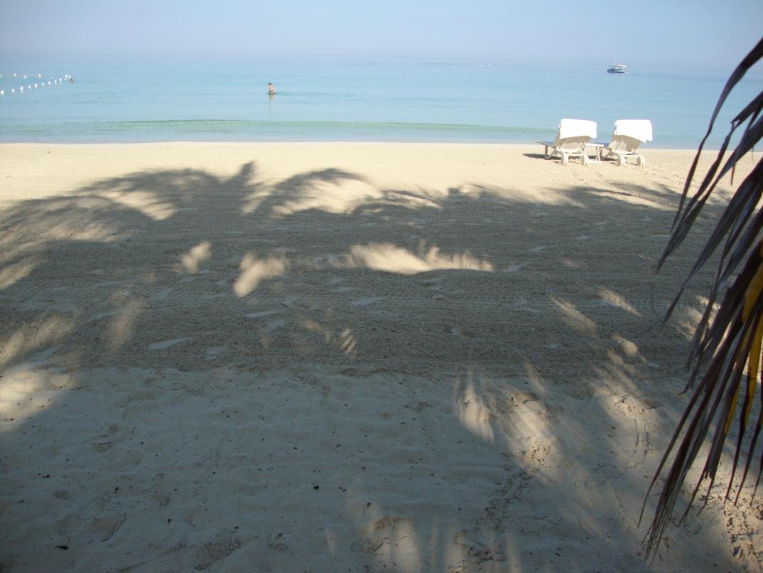 Name:  571.jpg
Views: 1308
Size:  93.1 KB