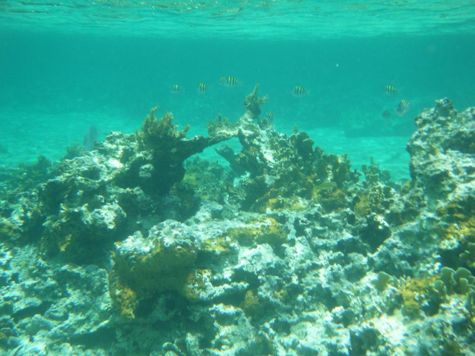 Name:  DSCF5198.jpg
Views: 141
Size:  92.1 KB