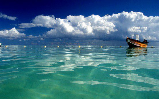 Name:  jamaica2.jpg
Views: 1249
Size:  46.5 KB