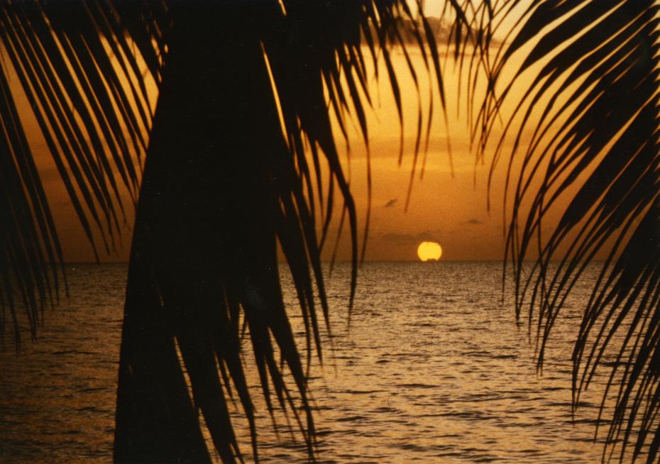 Name:  Negril Beach Sunset.jpg
Views: 206
Size:  95.6 KB