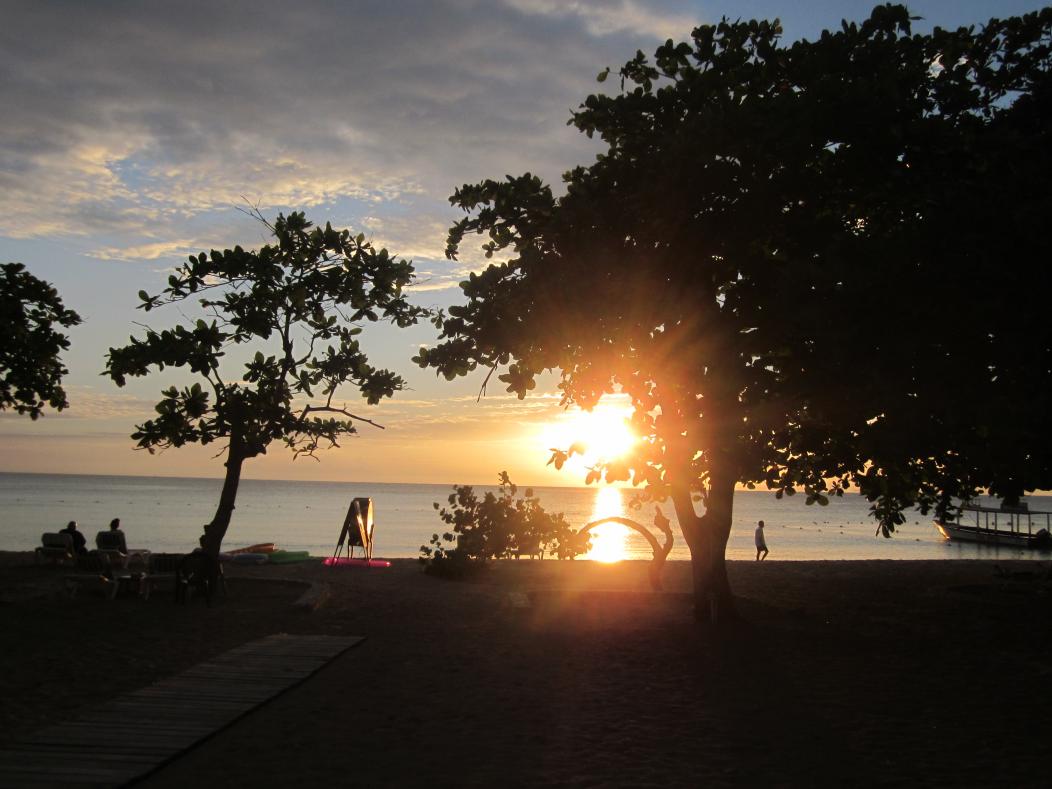 Name:  Jamaica Apr 2013 024.jpg
Views: 179
Size:  88.2 KB