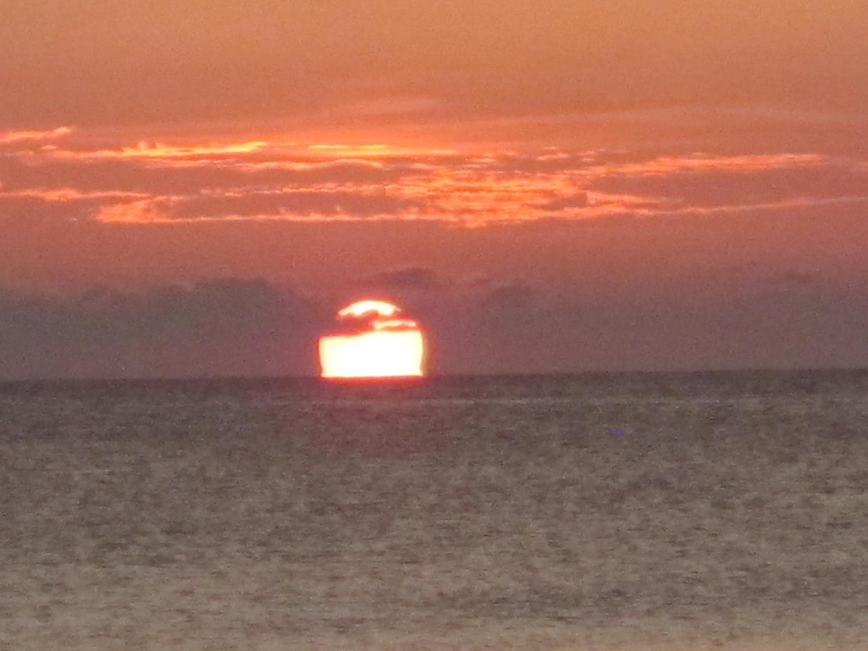 Name:  Jamaica Apr 2013 038.jpg
Views: 179
Size:  87.9 KB