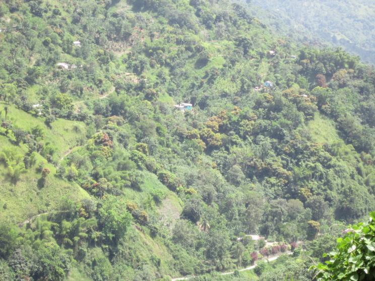 Name:  Spring Hill Road.jpg
Views: 596
Size:  98.1 KB