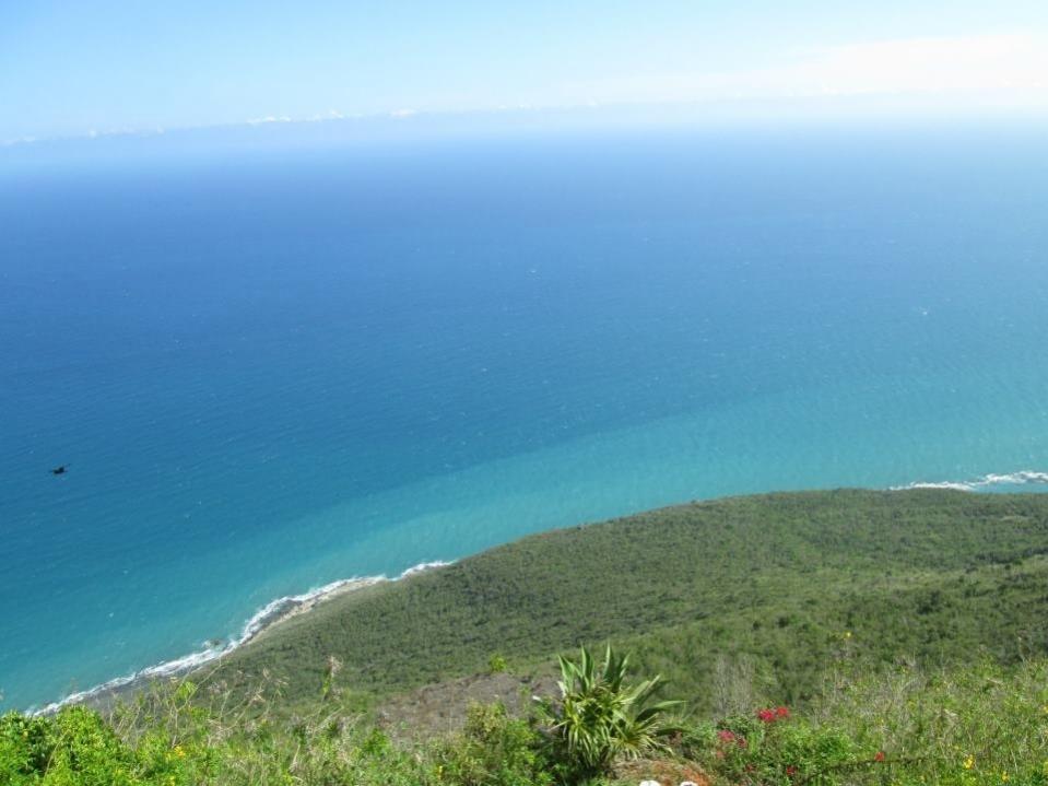 Name:  image.jpg
Views: 502
Size:  64.8 KB