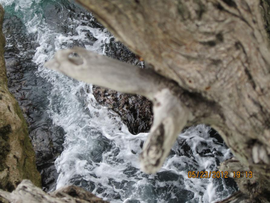 Name:  Negril 2012 115.jpg
Views: 593
Size:  94.7 KB