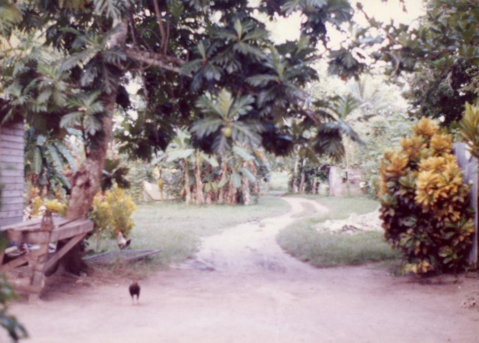 Name:  Gloria's Yard.jpg
Views: 1043
Size:  92.2 KB