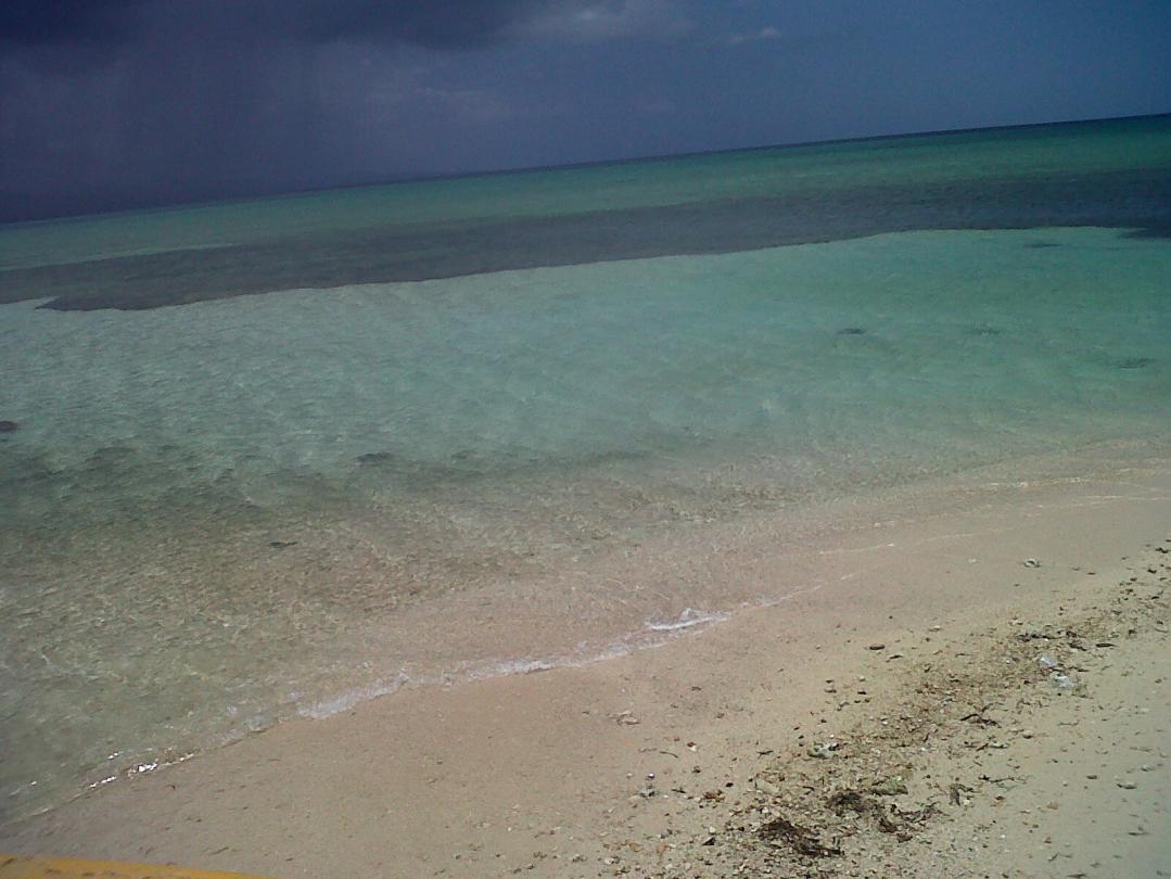 Name:  IMG-20130520-02349.jpg
Views: 596
Size:  96.7 KB
