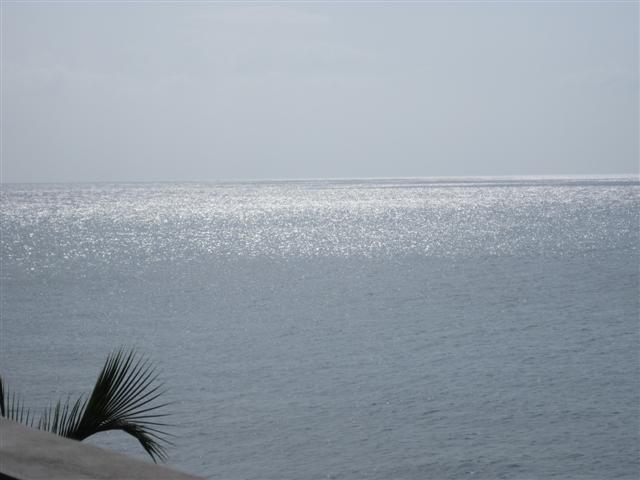 Click image for larger version. 

Name:	Jamaica June 2011 - 502 (Small).jpg 
Views:	745 
Size:	32.0 KB 
ID:	2675
