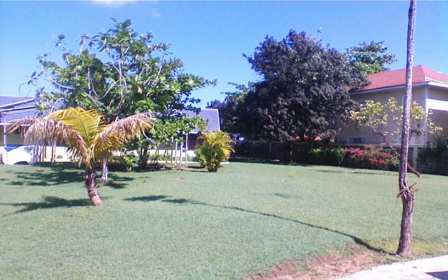 Name:  picture109.jpg
Views: 103
Size:  100.8 KB