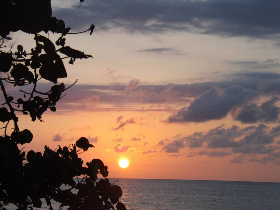 Name:  944674_131062060422923_2125817796_n.jpg
Views: 3314
Size:  49.6 KB