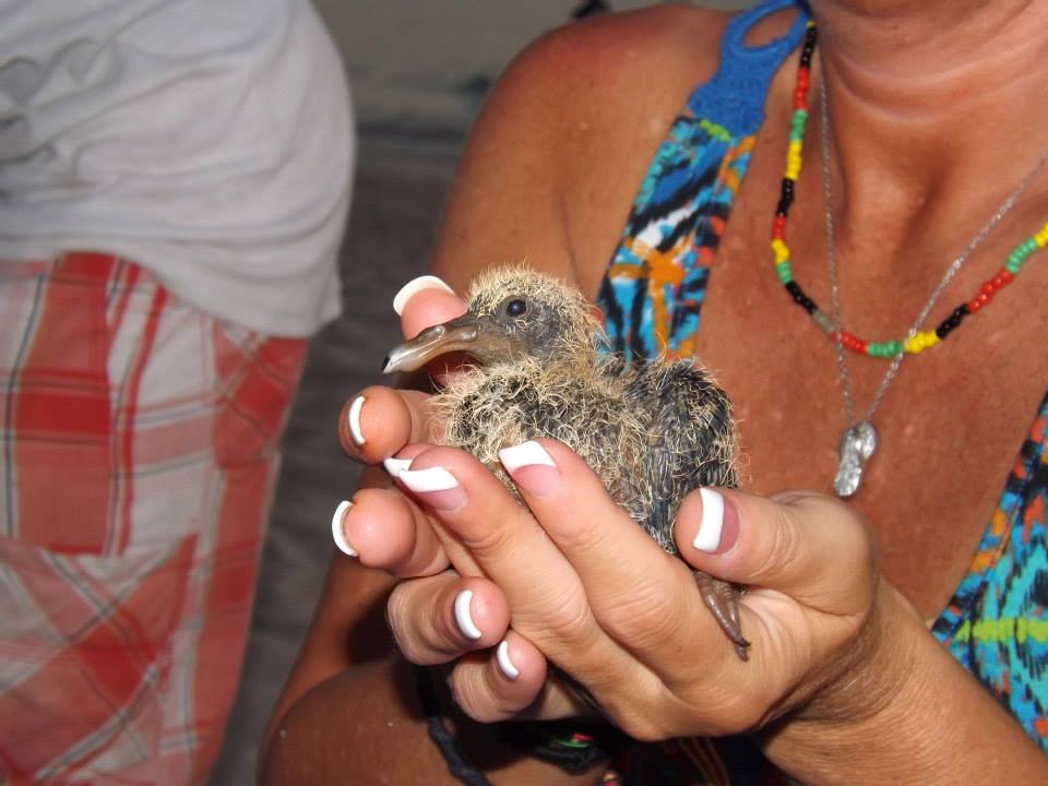 Name:  294978_133679736827822_1172693264_n.jpg
Views: 2777
Size:  66.8 KB