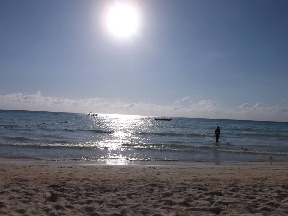 Name:  945423_135487386647057_970536985_n.jpg
Views: 2173
Size:  56.5 KB